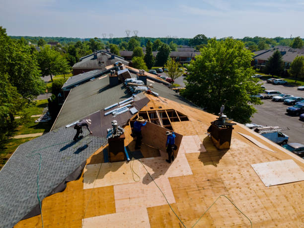 Best Roof Maintenance Services  in Sebree, KY