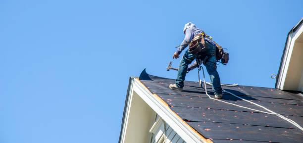 Best Roof Maintenance Services  in Sebree, KY